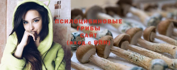соль ск Костерёво