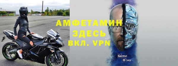 трава Коряжма