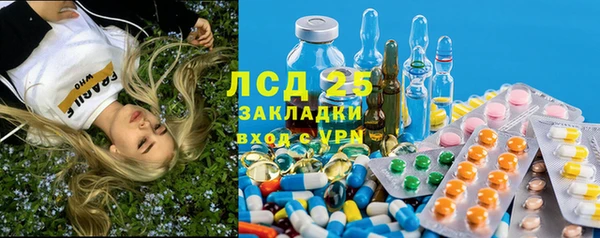 трава Коряжма