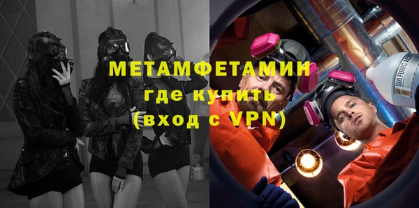трава Коряжма